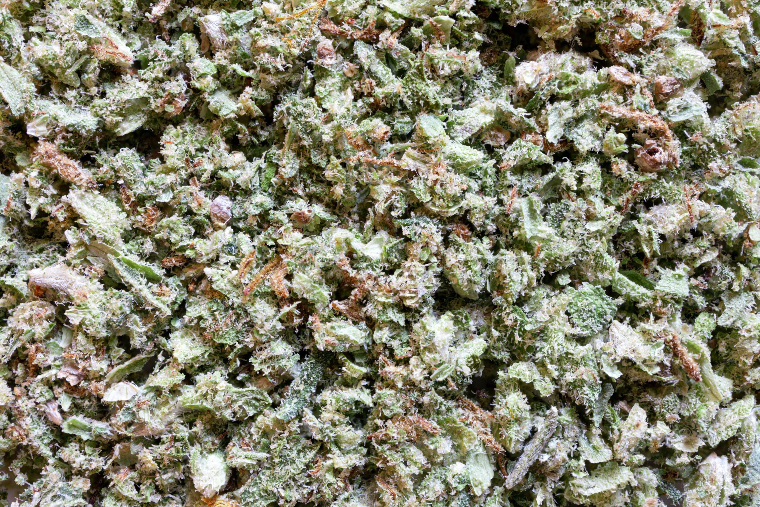Wholesale fresh frozen cannabis flower