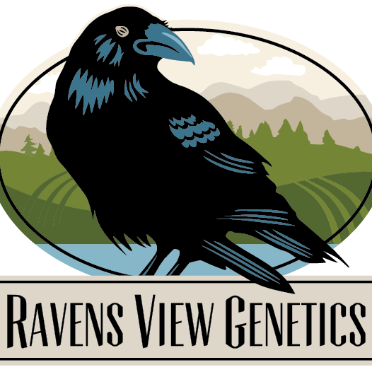Raven's View Genetics